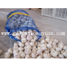 Chinese Fresh Garlic with Good Price and Quality